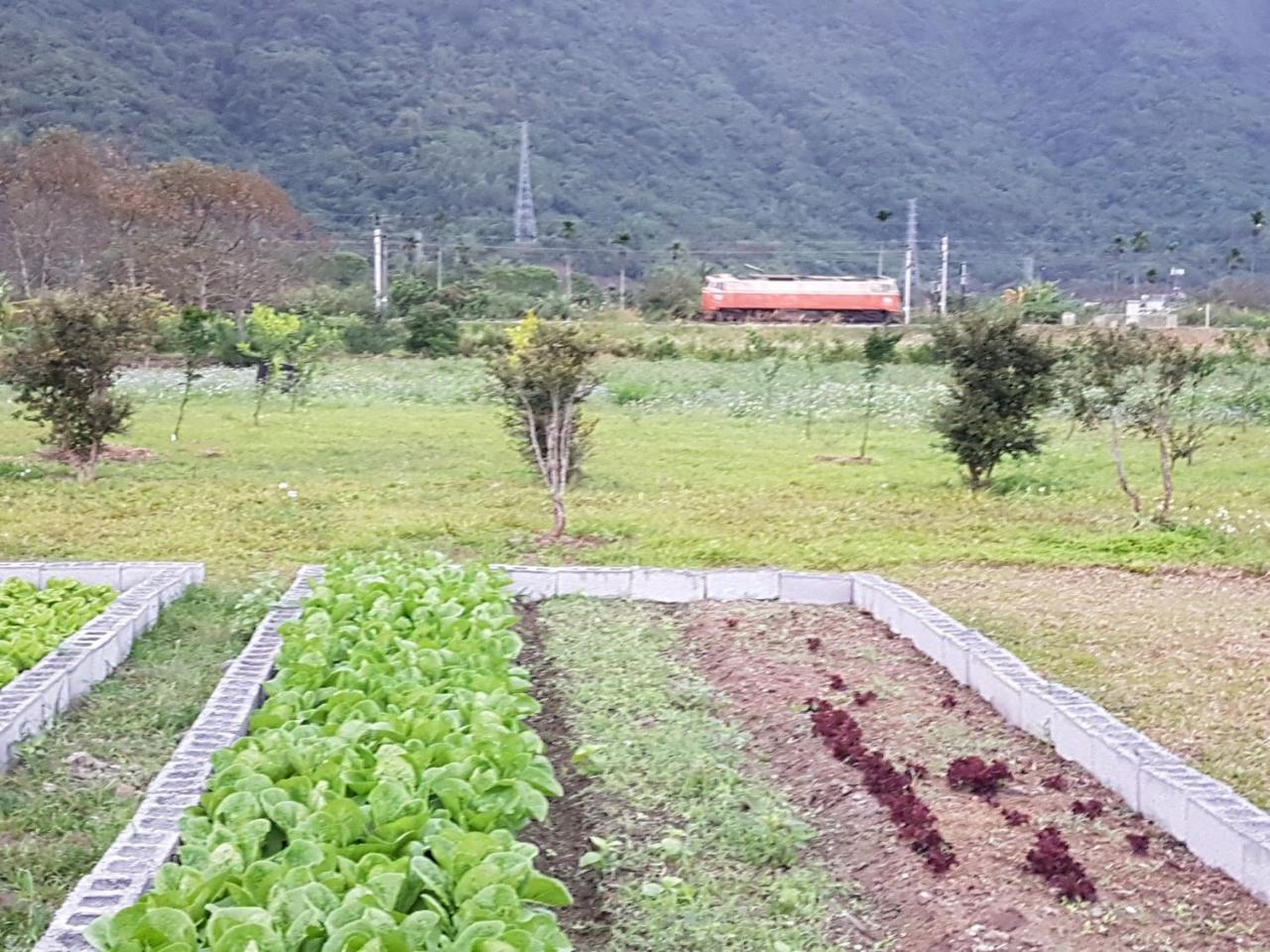 Taroko Formosa Homestay 슈린 향 외부 사진